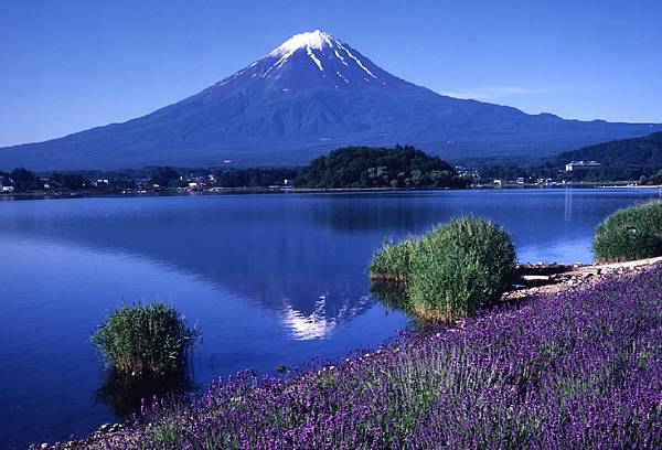 Fuji Mountain.jpg