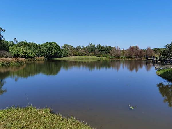 天水圍濕地公園