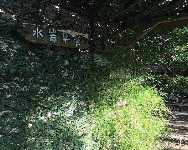 薰衣草森林 (33).jpg