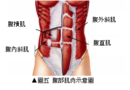 跟著下背痛專家學習減輕慢性下背痛系列之二 Recall Fitness Center的部落格 痞客邦