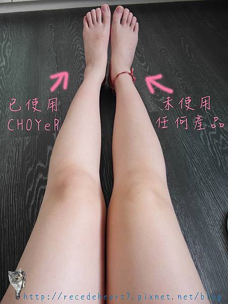 SAM_7041 (Copy).JPG 試用