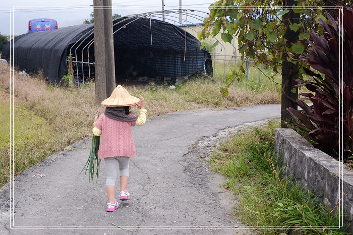DSCF5193 DSCF5193