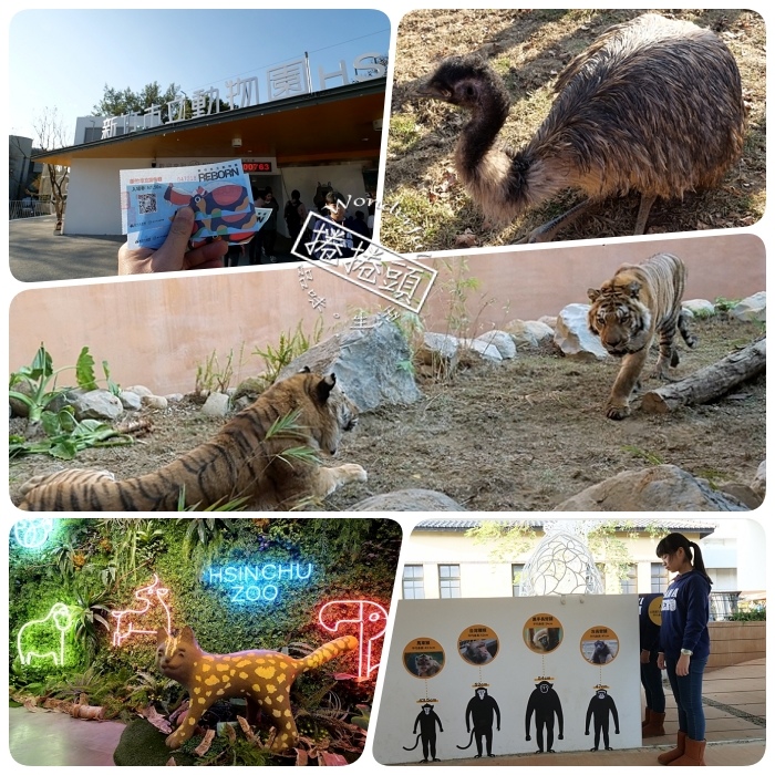 新竹市立動物園,馬來熊,北美浣熊,河馬樂樂,動物園新裝,雙胞胎老虎,人性化設計,新竹,動物園