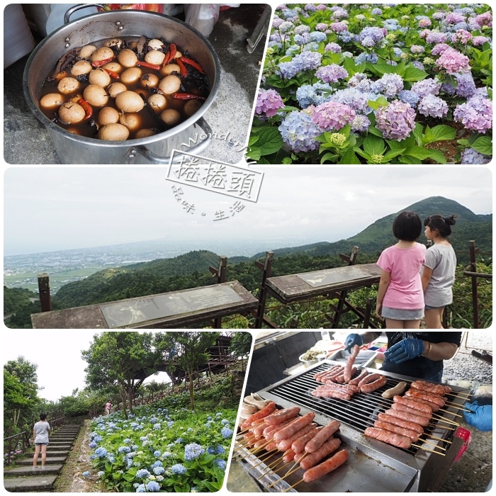 石牌縣界公園,金面棧台,北宜公路,繡球花,龜山島,蘭陽平原,九彎十八拐,宜蘭,頭城,金面棧