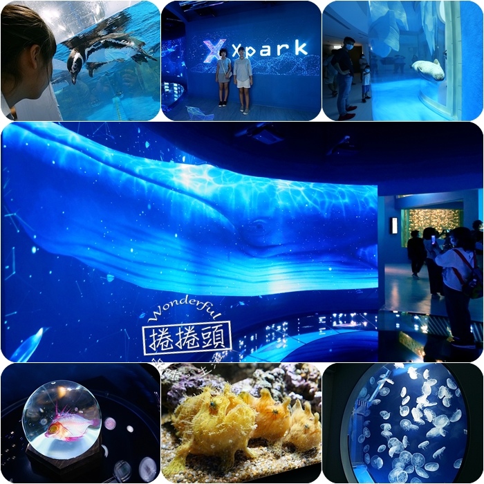 ,桃園,中壢,XPark,水生公園,水族館,青埔,八景島水族館,