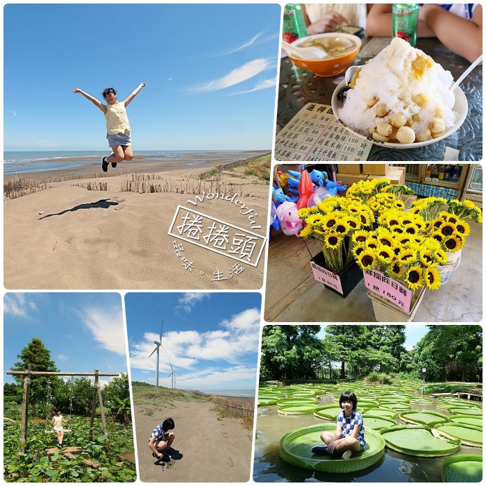 ,桃園,一日遊,懶人包,景點,推薦,向陽農場,向日葵,蓮荷園休閒農場,大王蓮,草漯沙丘,台版撒哈拉,公園,花季,打卡,