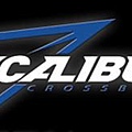 excalibur logo.JPG