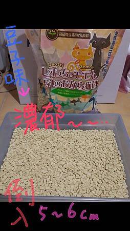 Leotti&Momon日本雙孔豆奶豆腐砂試用