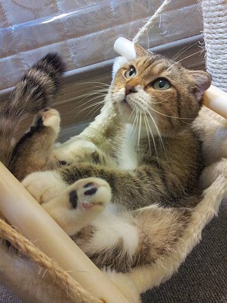 20130120_180733 (1).jpg