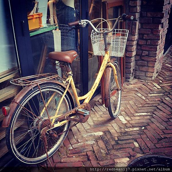 IMG_5598.JPG IMG_5598.JPG