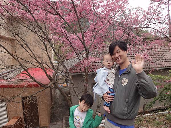 DSC00545 DSC00545