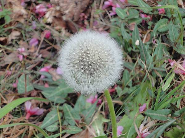 DSC00533 DSC00533