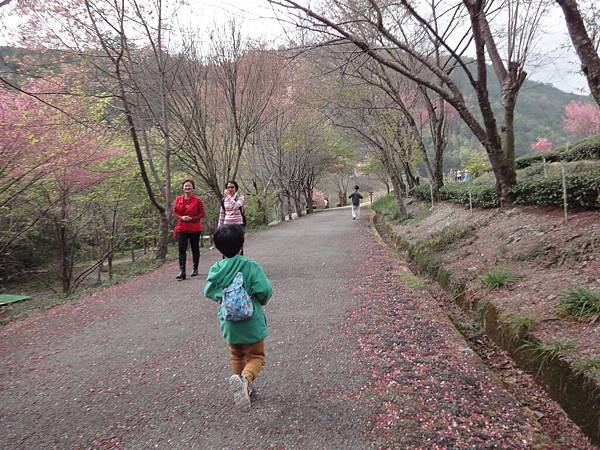 DSC00658 DSC00658