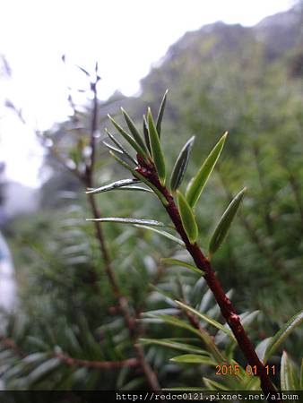 福山植物園