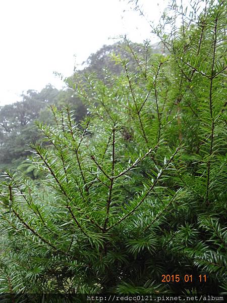 福山植物園