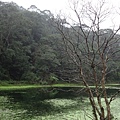 福山植物園