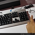 DSC00330.JPG