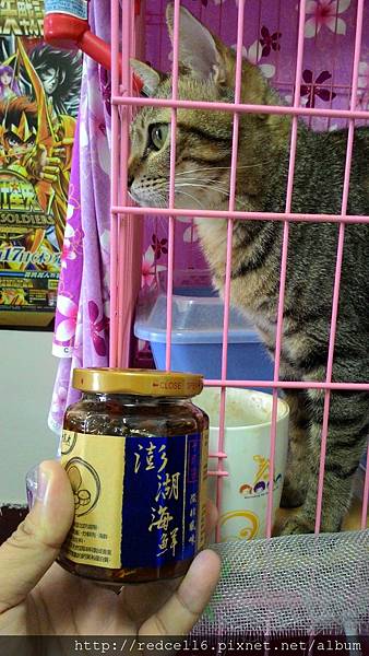 2015-05-20 15.29.37.jpg