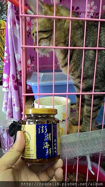 2015-05-20 15.30.29.jpg