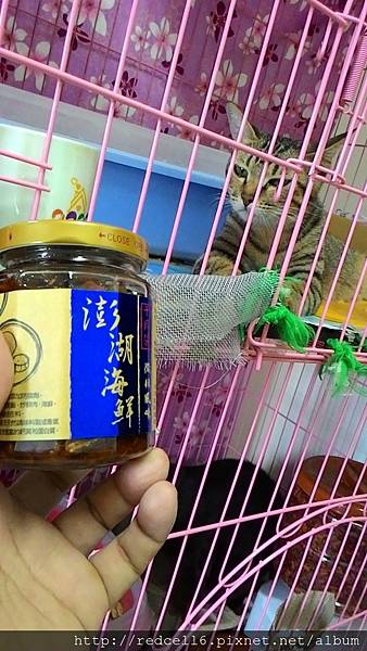 2015-05-20 15.30.57.jpg