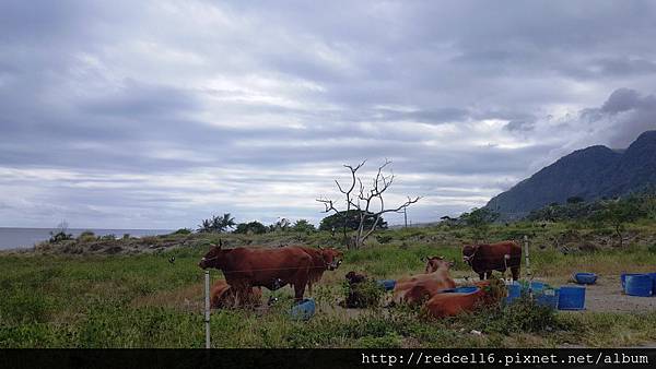 雙曲出眾!大開眼界Samsung Galaxy S6 edge+智慧旗艦機體驗心得分享