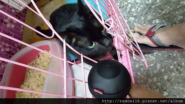 2015-10-30 19.25.37.jpg