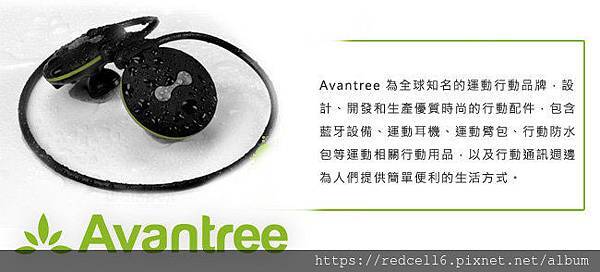 _sE_3068313538 _sE_3068313538