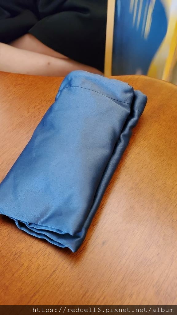 好康團購 飛買家x Travel Blue 聯名專區travel Blue頸枕系列 方格子