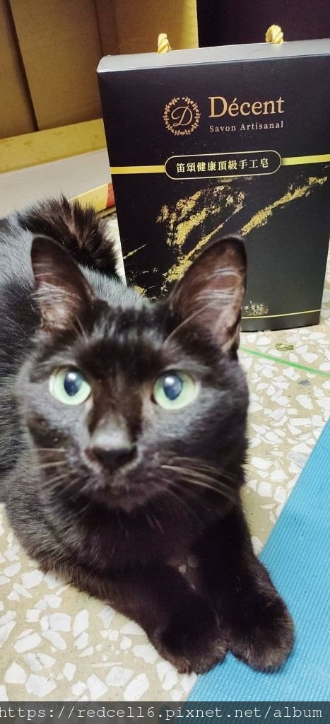 IMG_20210929_230513.jpg IMG_20210929_230513.jpg