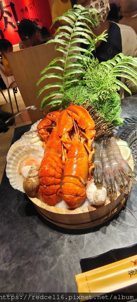 IMG_20221115_180705.jpg IMG_20221115_180705.jpg