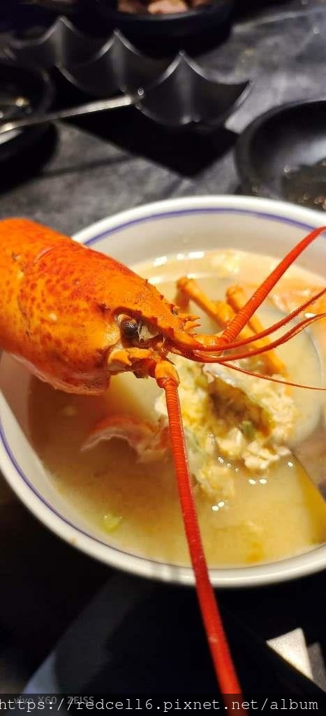 IMG_20221115_182554.jpg IMG_20221115_182554.jpg