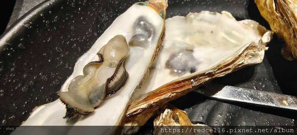 IMG_20221115_192451.jpg IMG_20221115_192451.jpg