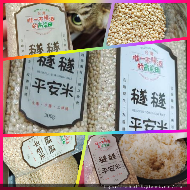 #芳苑鄉