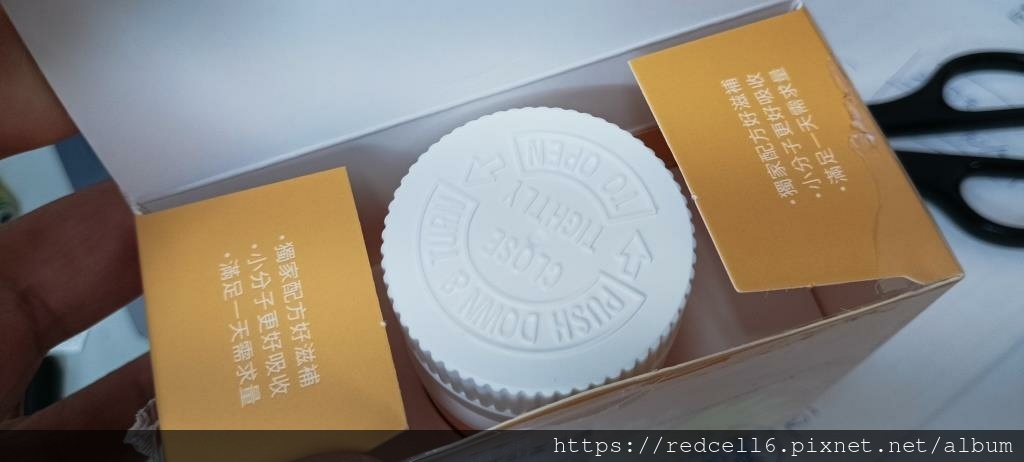 IMG_20241119_130306.jpg IMG_20241119_130306.jpg