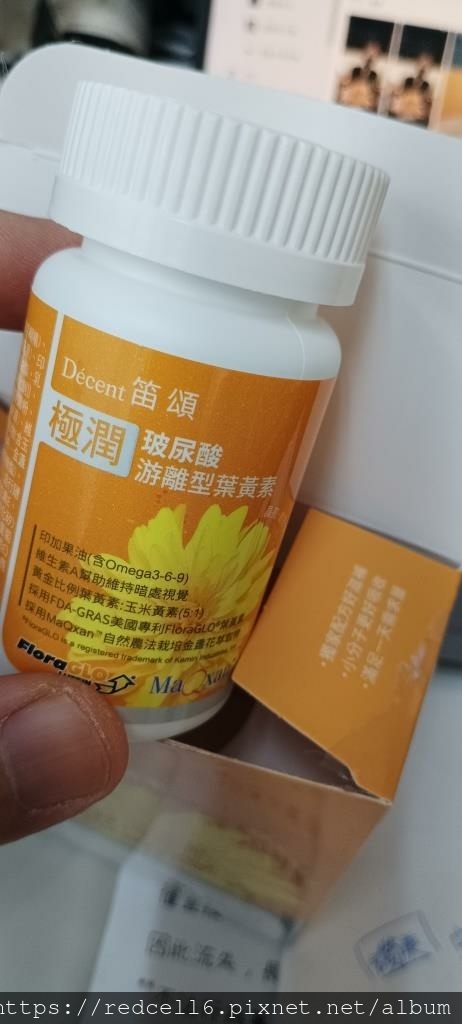 IMG_20241119_130319.jpg IMG_20241119_130319.jpg