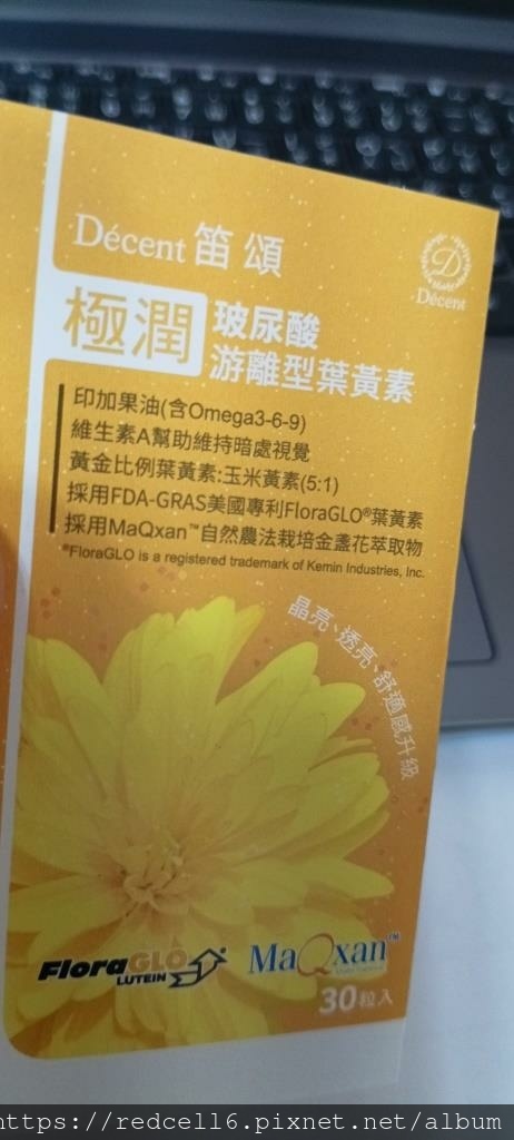 IMG_20241119_130406.jpg IMG_20241119_130406.jpg