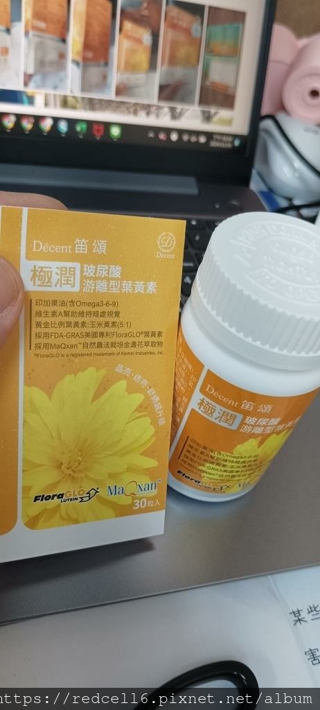 IMG_20241119_130403.jpg IMG_20241119_130403.jpg