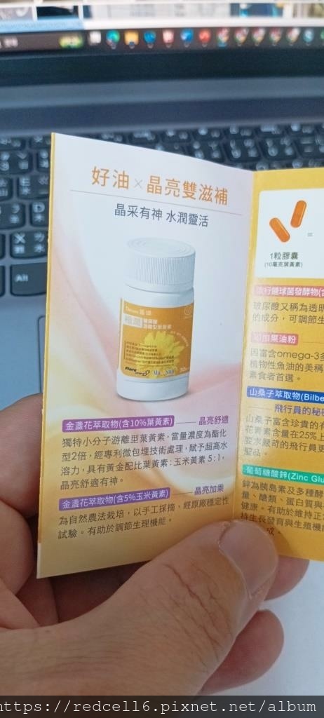 IMG_20241119_130417.jpg IMG_20241119_130417.jpg