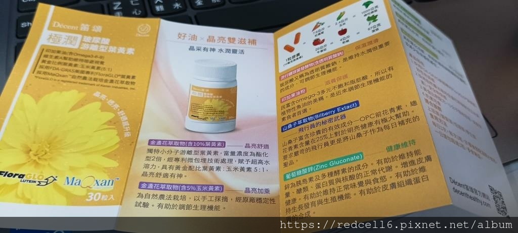 IMG_20241119_130439.jpg IMG_20241119_130439.jpg