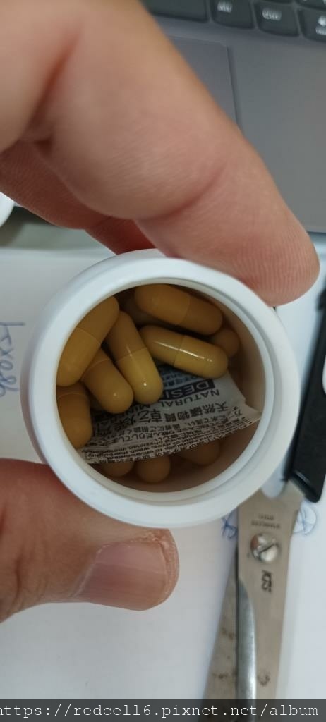 IMG_20241119_130523.jpg IMG_20241119_130523.jpg