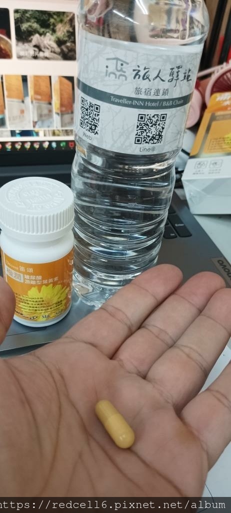 IMG_20241119_130714.jpg IMG_20241119_130714.jpg