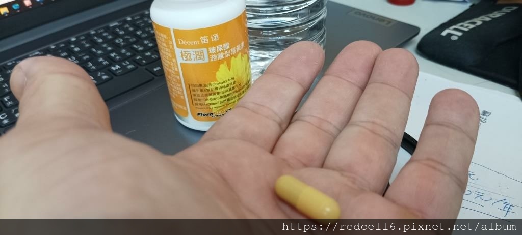 IMG_20241119_130731.jpg IMG_20241119_130731.jpg