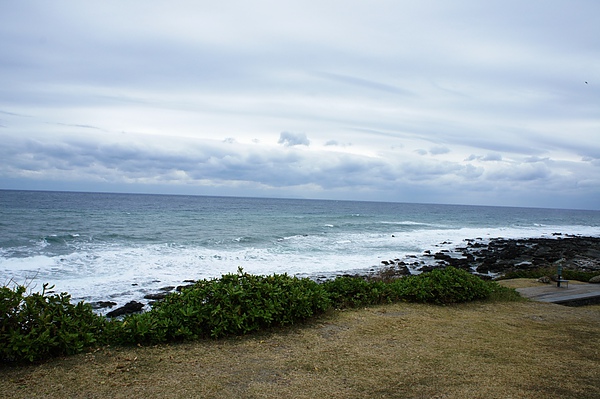 DSC00491.JPG