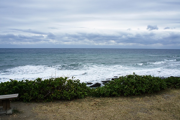 DSC00492.JPG