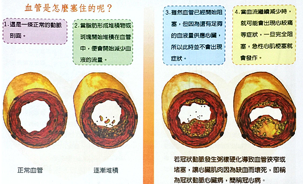 File_349.png File_349.png