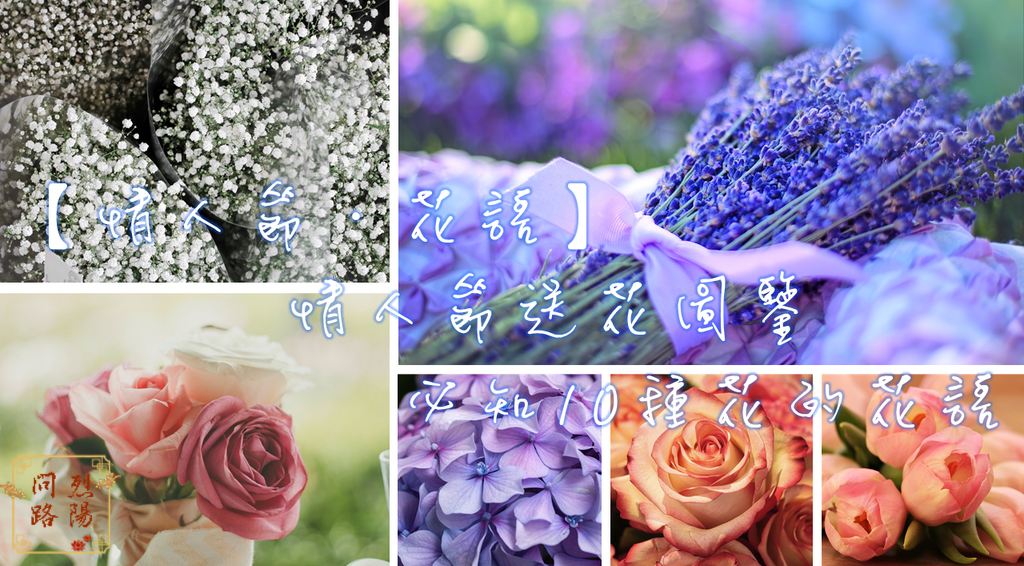【情人節.花語】情人節送花圖鑒必知10種花的花語 (1).PNG 【情人節.花語】情人節送花圖鑒必知10種花的花語 (1).PNG