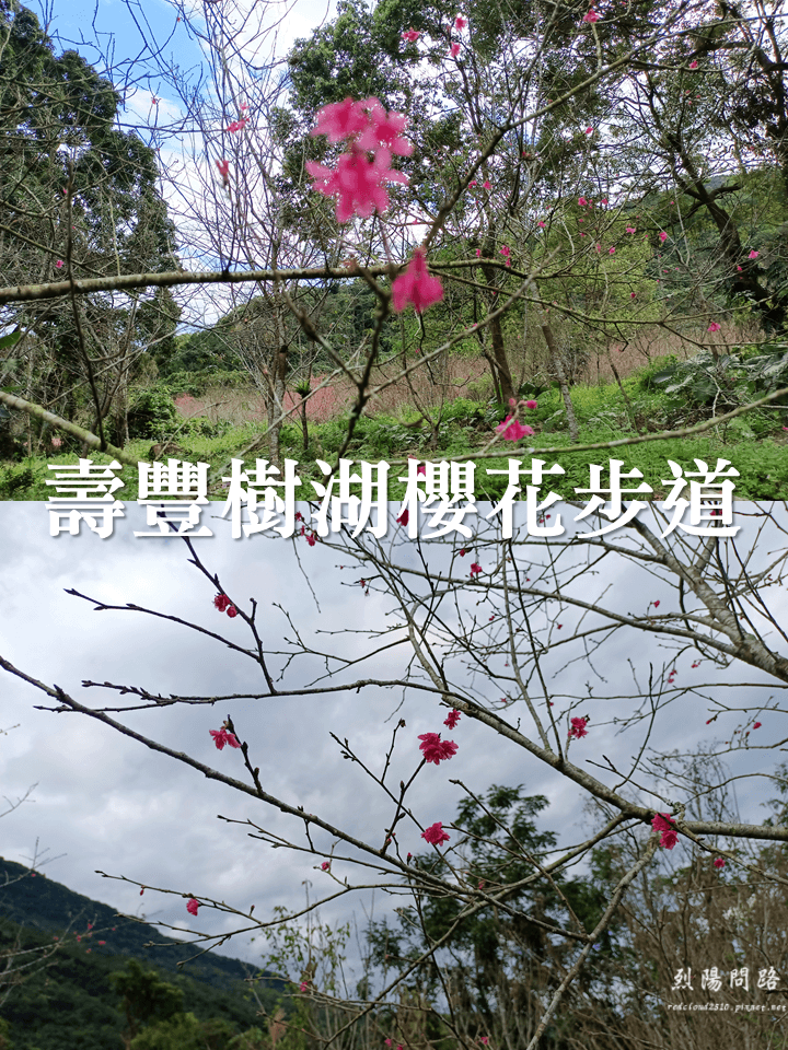 花蓮走春景點推薦 花蓮鐵道文化園區 新年市集  伊奶奶 東華大學 壽豐樹湖 櫻花步道 烈陽問路 燕無歇 (12).PNG