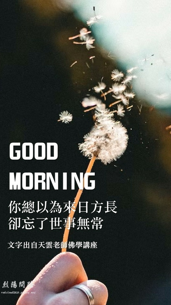 早安圖、晚安圖、長輩圖 早安圖免費下載、風景早安圖 開悟智言 勵志格言 (11).JPG 早安圖、晚安圖、長輩圖 早安圖免費下載、風景早安圖 開悟智言 勵志格言 (11).JPG