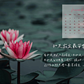 11月電腦桌布推薦 正能量 心靈勵志桌布 烈陽問路 (5).PNG