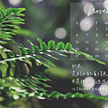 11月電腦桌布推薦 正能量 心靈勵志桌布 烈陽問路 (1).PNG